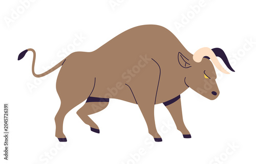 Wild aggressive bull with horns. Strong powerful angry bovine in savage furio...