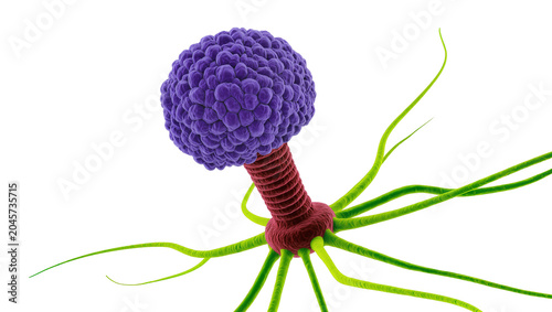 Tablou pe pânză Purple bacteriophage virus with red sheath and green tail fibers, isolated on tr