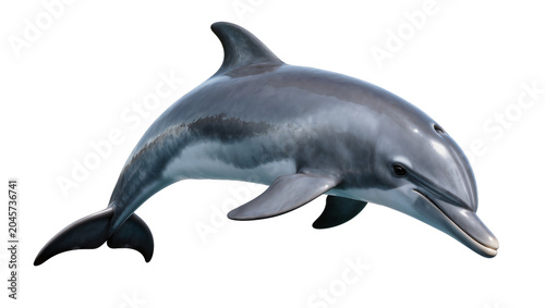 Fotografie Gray dolphin with dark stripes, isolated on transparent background