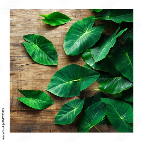 Green Leaves Arranged on a Wooden Surface in a Simple Layout During Daytime