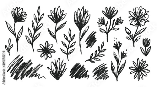 Canvas Print Hand drawn flower and leaf sketch set with chalk brush strokes