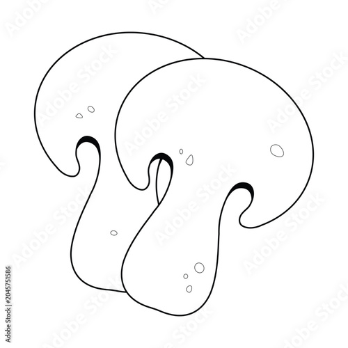 Fotografie Line Two Porcini Mushroom sliced illustration cartoon cute