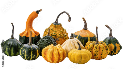 Canvastavla Assorted gourds with varied shapes and colors, autumn harvest