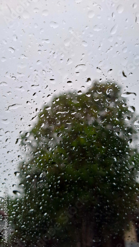 Fotografie Vertical close up shot of clear raindrops on a glass surface with a vibrant green tree out of focus in the background on a rainy day