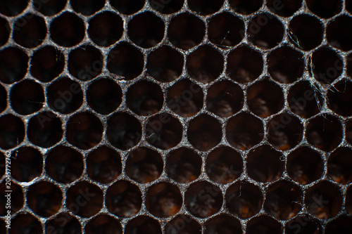 Honeycomb texture close up.