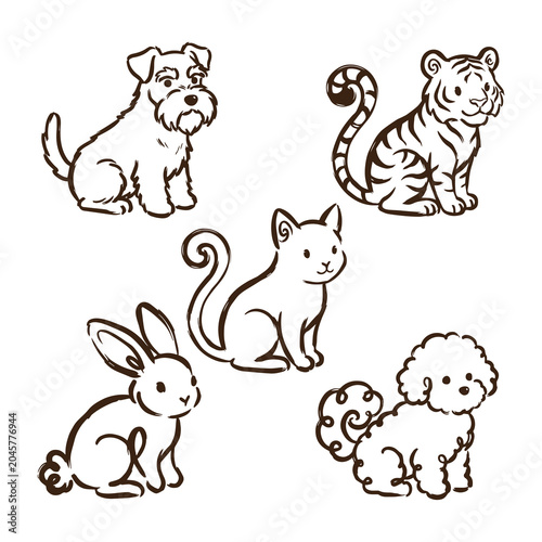Photography set of animals