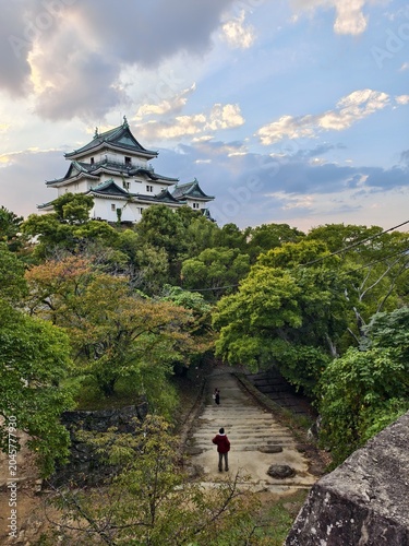 Photos Wakayama Castle main tower with stone stairs and tourist in Japan