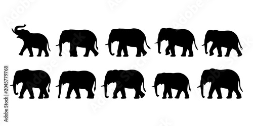 Elephants Walking in a Row, Black Silhouettes on White Background Featuring Animal, Wildlife, Nature with Vector and Illustration Elements