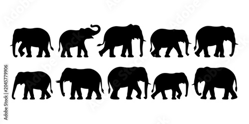 Elephants Walking in a Line as Black Silhouettes on a White Background Featuring Animal, Wildlife, Nature with Herd and Group Elements for Vector