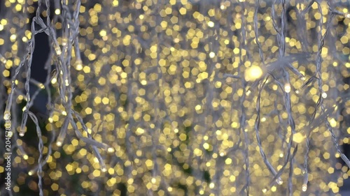 close up on christmas tree branch with tiny lights glowing. beautiful blurry background with ornaments. holiday season vibe