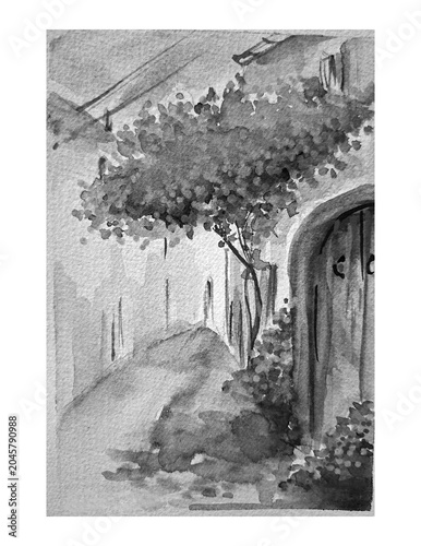 Hand painting watercolor art of watercolor illustration.