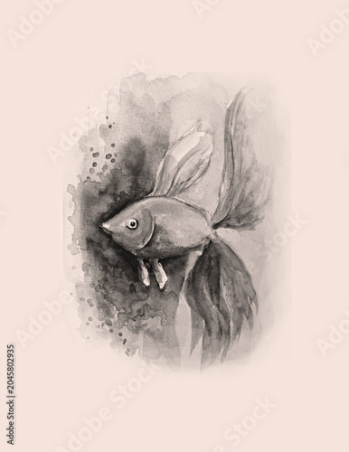 Hand painting watercolor art of watercolor illustration.
