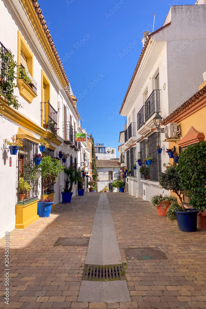 Fototapeta premium A bright white street lined with colorful flower pots and blooming plants creates a charming Mediterranean scene in Estepona, Spain