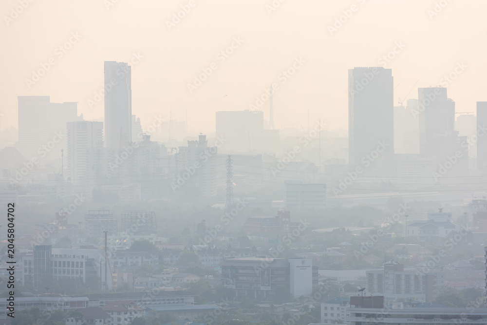 Fototapeta premium Silhouettes of tall modern city skyscrapers covered in thick toxic smog and heavy air pollution.