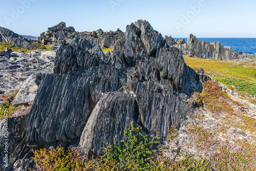Foto Along the Hamningberg Road, Varanger, Finnmark, Norway