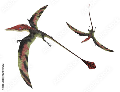 Flugsaurier Eudimorphodon, Freisteller