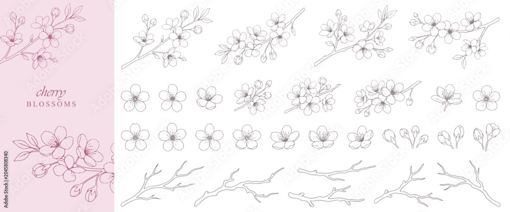 Obraz premium Set of Cherry Blossom Flowers and Branches, Detailed Spring Botanical Background for Valentine’s Day Invitations, Wallpapers and Save the Date Cards
