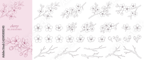 Canvas-taulu Set of Cherry Blossom Flowers and Branches, Detailed Spring Botanical Background
