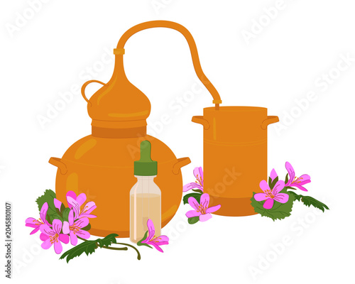 Konstfotografi Vector illustration of a still and Pelargonium graveolens