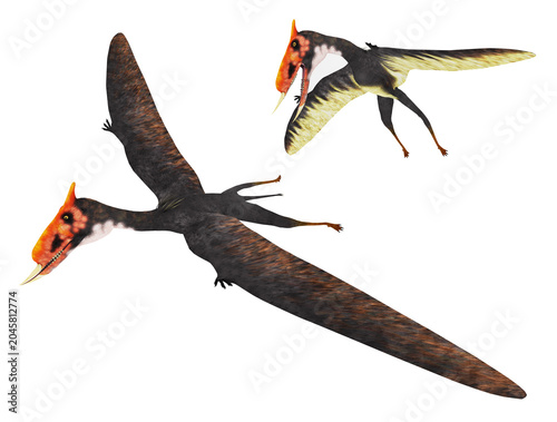 Flugsaurier Dsungaripterus, Freisteller