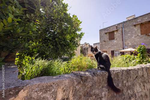 Foto in the old town of Rhodos on Rhodos Island, Greece