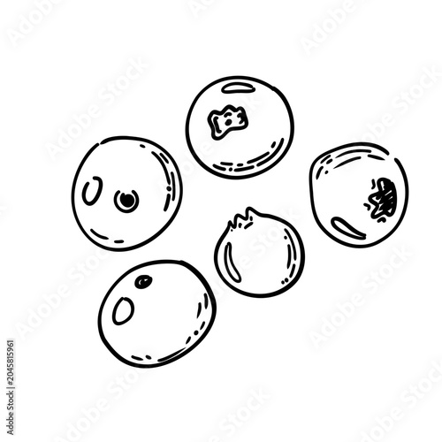 Hand-drawn blueberry vector illustration in sketch style. Detailed botanical fruit outline, natural organic food design, monochrome contour drawing isolated on white background artwork.