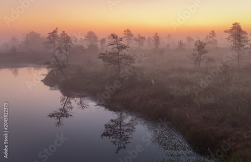 Foto Stunning sunrisein the swamp