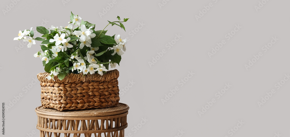 Fototapeta premium Wicker basket with blooming jasmine flowers on table near white wall in room, closeup