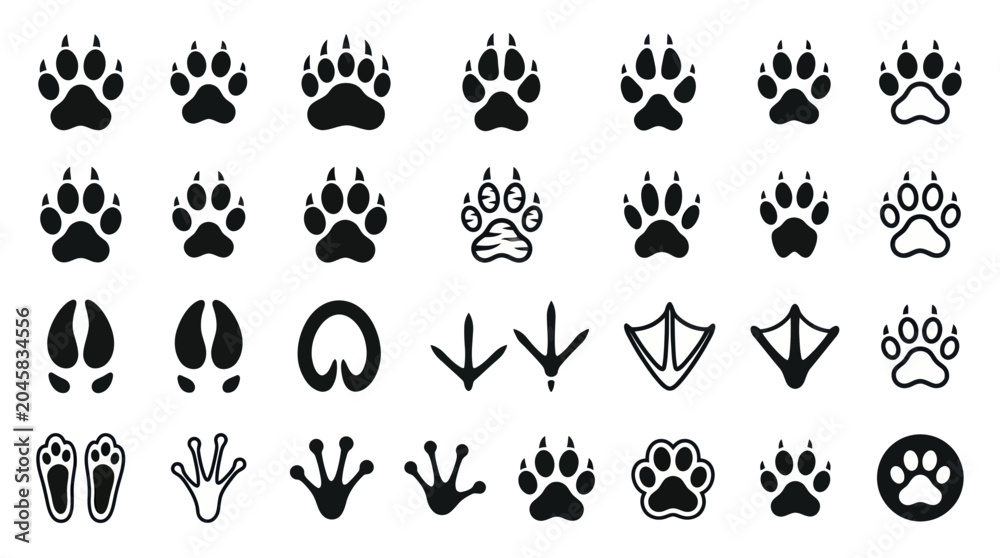 Fototapeta premium Animal Paw Prints Collection: Diverse Footprints for Wildlife and Pet Themes