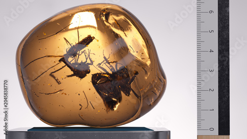 Foto Piece of amber with insects of the Diptera species inside