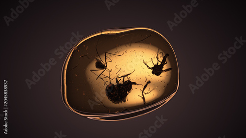 Fotografia Piece of amber with insects of the Diptera species inside