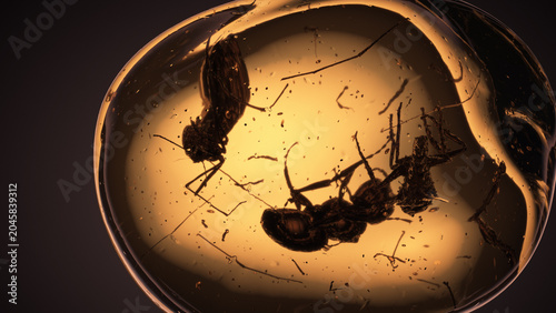 Fotografie Multiple Prehistoric Insects Trapped in Ancient Amber