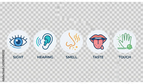 Bild auf Leinwand Human sensory perception icons vector illustration EPS 10