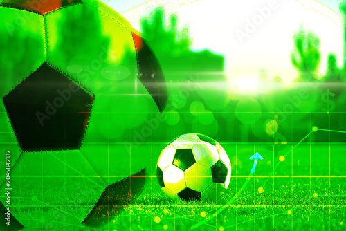 Soccer ball on green stadiu...