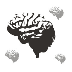 Human brain silhouette graphic illustration for Photoshop brushes and creative design