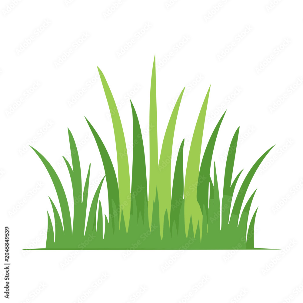 Fototapeta premium Green grass illustration