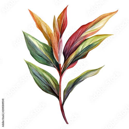 watercolor graphic of Phormium Branch, isolated on a white background.