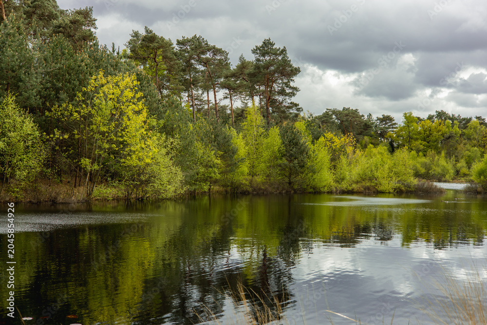 Obraz premium Spring Green Forest with Footpath on a River Bank in Cloudy Weather