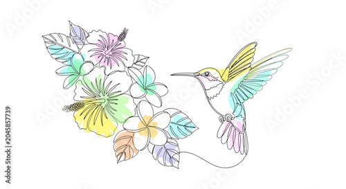 Photography Hummingbird and Tropical Flowers Watercolor Sketch