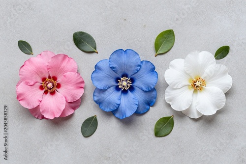 A couple of flowers sitting on top of a cement floor