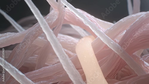 Microscopic view of 3D bioprinted synthetic muscle fibers forming cellular mesh with nutrient gel flow in robotic precision laboratory visualization
