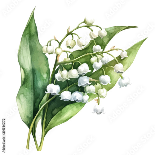 Lily Of The Valley Branch, beautiful watercolor illustration with vivid colors and detailed vector style, isolated on a white background.