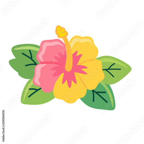 Vibrant Pink and Yellow Tropical Hibiscus Vector with Green Leaves PNG 
