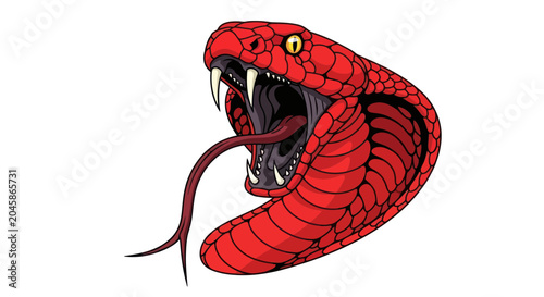 Obraz na plátně Red snake with open mouth showing fangs.