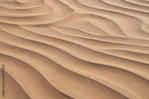 A close up view of a desert landscape. 