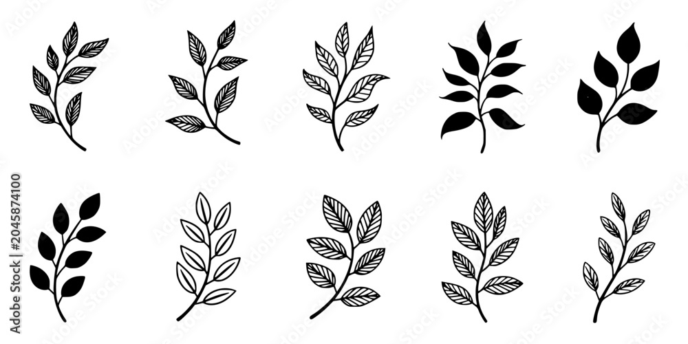 Fototapeta premium Leaf Branch Icons Set of Black and White Botanical Illustrations with Different Leaf Shapes and Symmetrical Sprig Designs