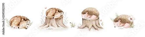 Foto Watercolor cute sleeping baby hedgehog animal