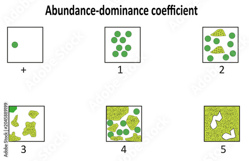 Canvastavla Abundance-dominance coefficient diagram for plant ecology assessment