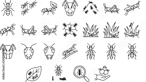 Konstfotografi Ant and Grasshopper Insect Icon Set, Minimalist Vector Bugs Symbols with Anthill