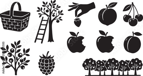 Quadro su tela Black and white of gardening tools, plants, and insects watering can trowel rake